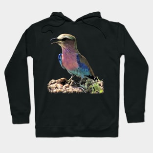 Roller - Bird in Africa Hoodie